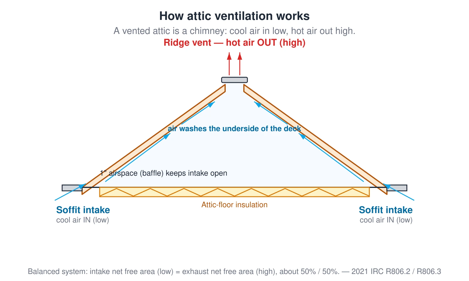 Cross-section of a vented attic showing the airflow path. Cool outside air enters low through continuous soffit (eave) vents, washes up the underside of the roof deck along both slopes, and hot, moist air rises out the top through a continuous ridge vent. Insulation covers the attic floor with a one-inch clear airspace kept open at each eave by a baffle. The system is balanced when the intake net free area at the soffits equals the exhaust net free area at the ridge — about half low and half high.