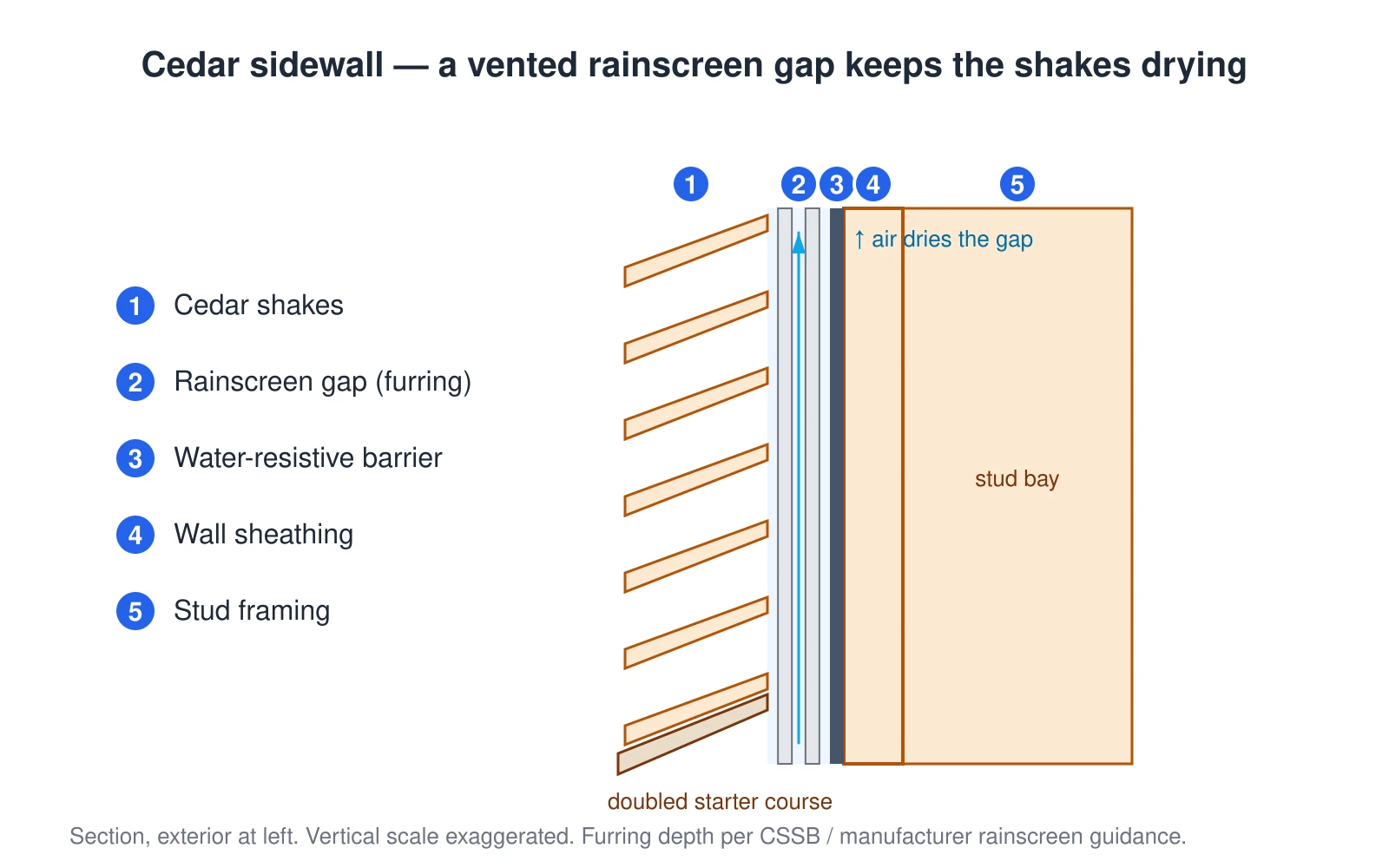 A vertical section through a cedar shake sidewall, from inside to outside: stud framing, wall sheathing, a water-resistive barrier, vertical furring strips that hold the shakes off the barrier to form a vented rainscreen gap, and the cedar shakes, which are doubled at the very bottom as a starter course. Air drains and dries the gap behind the shakes. Skipping the gap traps moisture and rots the backs of the shakes.