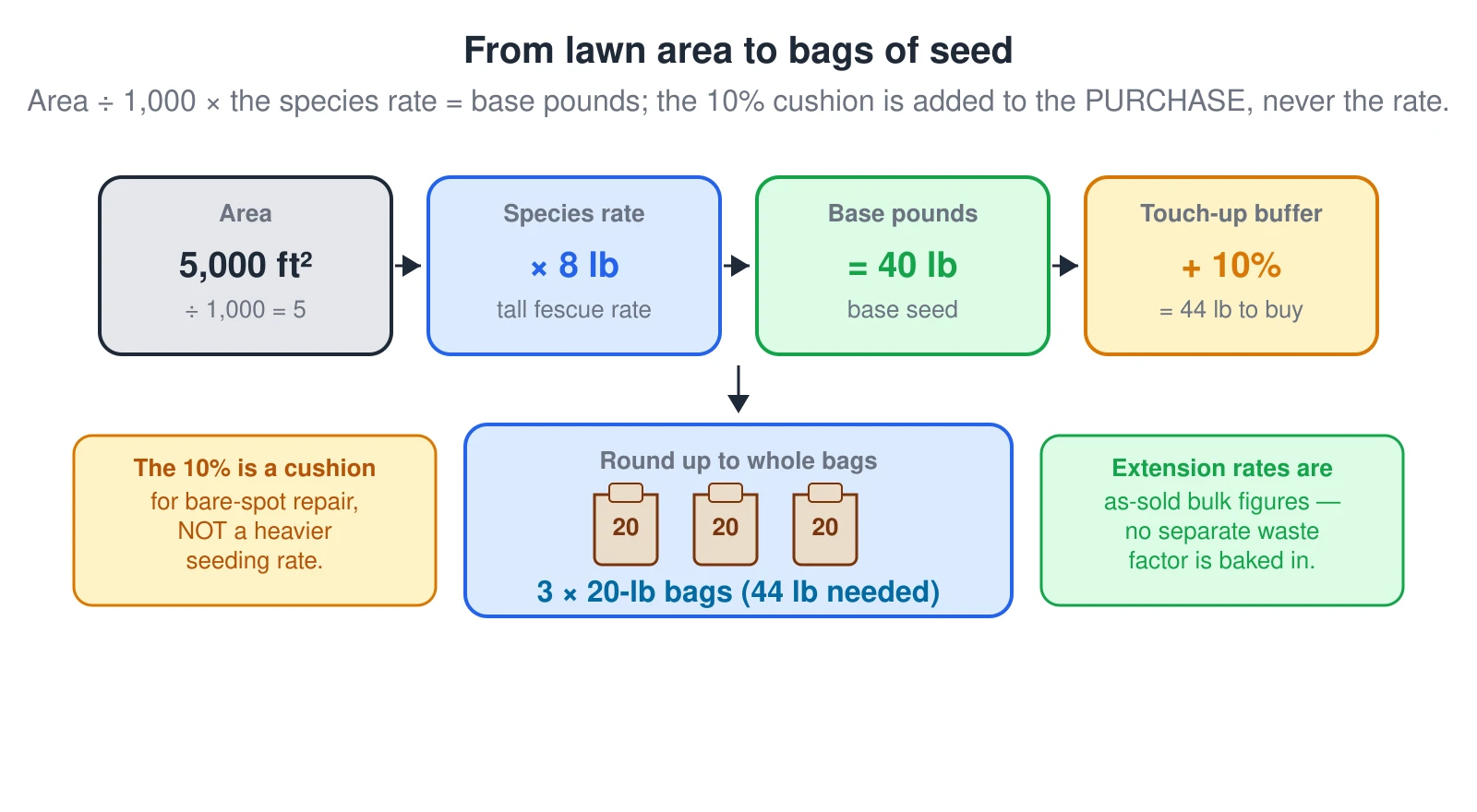 A left-to-right flow turning a lawn area into bags of seed, worked on a 5,000 square foot tall fescue lawn. First chip: area 5,000 square feet divided by 1,000 equals 5. Second chip: times the 8-pound tall fescue rate. Third chip: equals 40 pounds of base seed. Fourth chip: plus a 10 percent touch-up buffer equals 44 pounds to buy. An arrow drops to a result box that rounds up to whole bags — three 20-pound bags to cover the 44 pounds needed, drawn as three bag glyphs. A caution on the left states the 10 percent is a cushion for bare-spot repair, not a heavier seeding rate — doubling the rate hurts rather than helps. A note on the right states that extension seeding rates are already as-sold bulk figures, so no separate waste factor is baked in.