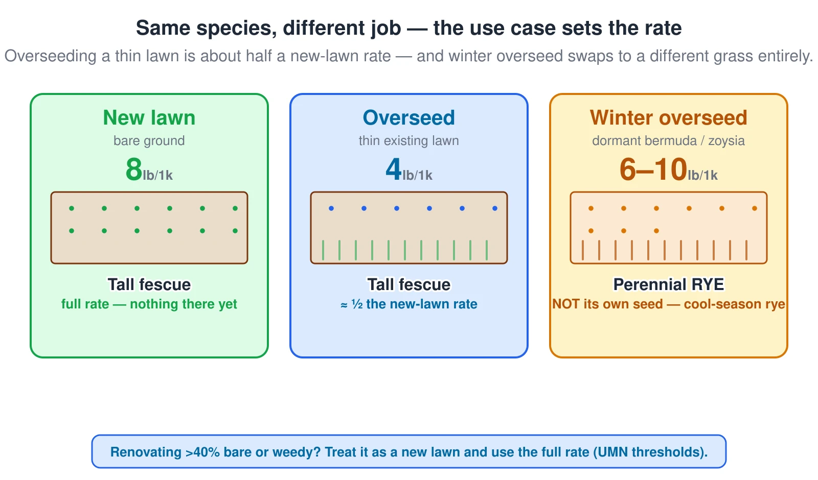 Three side-by-side panels showing how the project type changes the seeding rate for the same lawn. The first panel, new lawn on bare ground, uses the full rate — tall fescue at 8 pounds per 1,000 square feet — with a densely seeded bare soil plot. The second panel, overseeding a thin existing lawn, uses about half that, 4 pounds, over a plot that already has existing green blades, because established turf already occupies the ground. The third panel, winter overseed of dormant bermuda or zoysia, is the confusing case: it does NOT use the warm-season grass’s own seed but switches to cool-season perennial ryegrass at 6 to 10 pounds for temporary green cover over the tan dormant turf, cover that dies back in spring. A note at the bottom adds that renovating a lawn more than 40 percent bare or weedy should be treated as a new lawn at the full rate, per University of Minnesota thresholds.