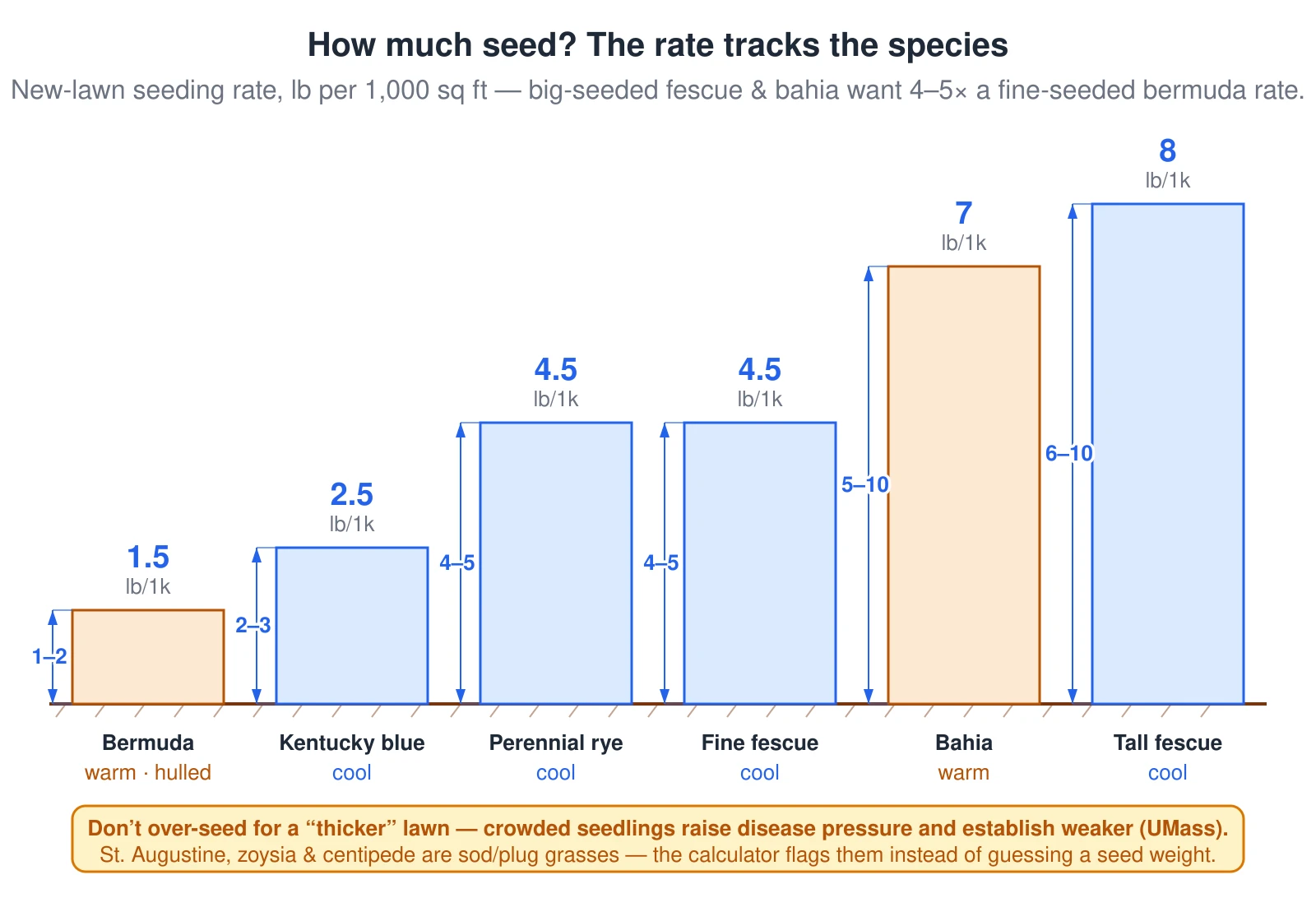 Six columns of increasing height on a common ground line, each showing the new-lawn seeding rate in pounds per 1,000 square feet for a different grass species, at one scale. Bermudagrass is a short bar at 1.5 pounds, range 1 to 2, because it carries about two million tiny seeds per pound. Kentucky bluegrass is 2.5 pounds, range 2 to 3. Perennial ryegrass and fine fescue are each 4.5 pounds, range 4 to 5. Bahiagrass is 7 pounds, range 5 to 10. Turf-type tall fescue is the tallest at 8 pounds, range 6 to 10, because its seeds are large and heavy. Warm-season grasses are tinted tan and cool-season grasses blue so the seasonal split reads at a glance. A caution notes that over-seeding for a thicker lawn backfires — crowded seedlings raise disease pressure and establish weaker — and that St. Augustine, zoysia, and centipede are sod or plug grasses the calculator flags instead of guessing a seed weight. The calculator picks the rate from the species you choose before any area math starts.