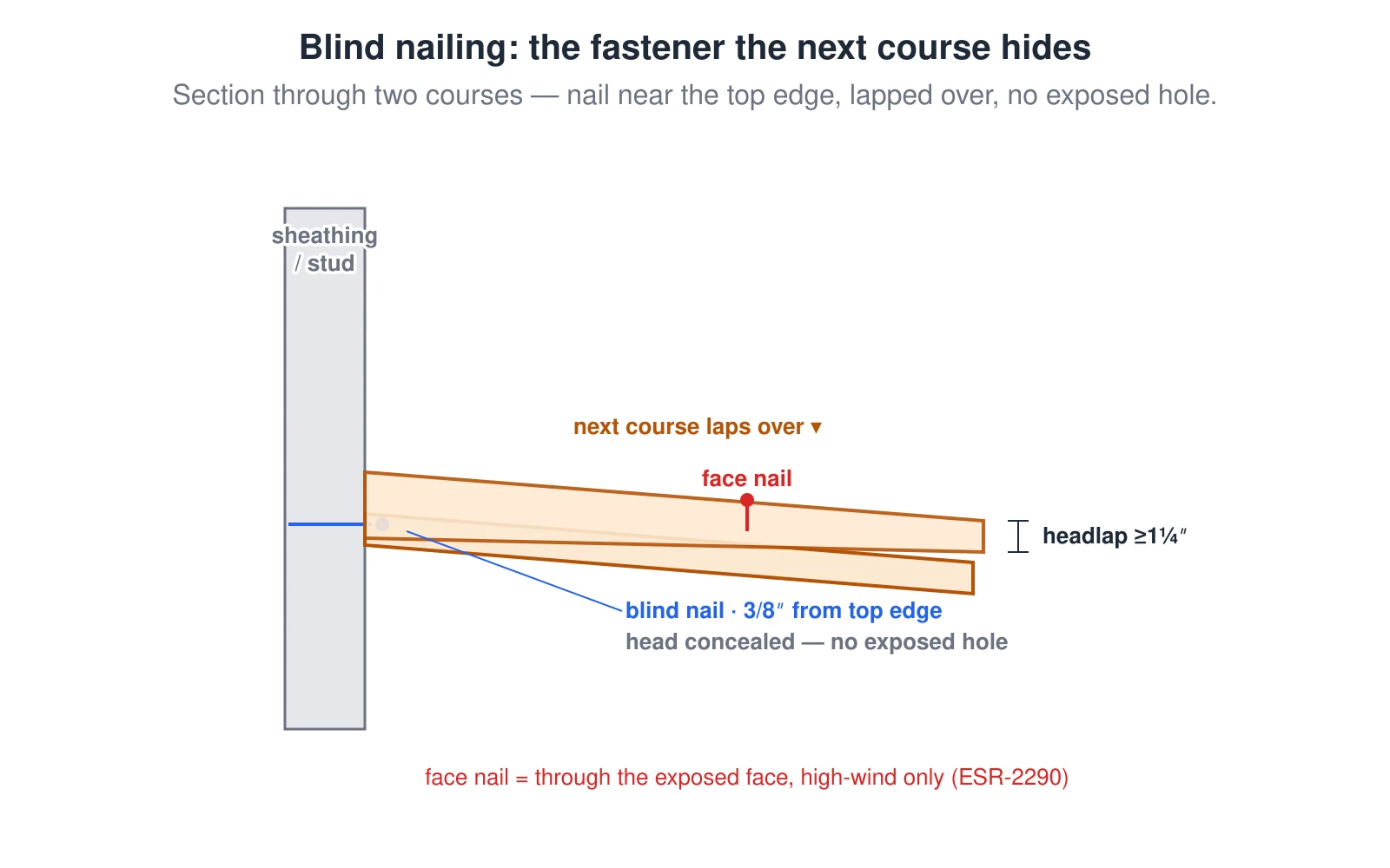 A section through two lap-siding courses on sheathing and a stud. A blind nail is driven about 3/8 inch from the top edge of the lower course into the stud, and the next course laps over that top edge with a headlap of at least 1¼ inches, concealing the nail head so there is no exposed hole. A contrasting red face nail is shown driven through the exposed face of the plank, labeled as permitted only in high-wind regions.
