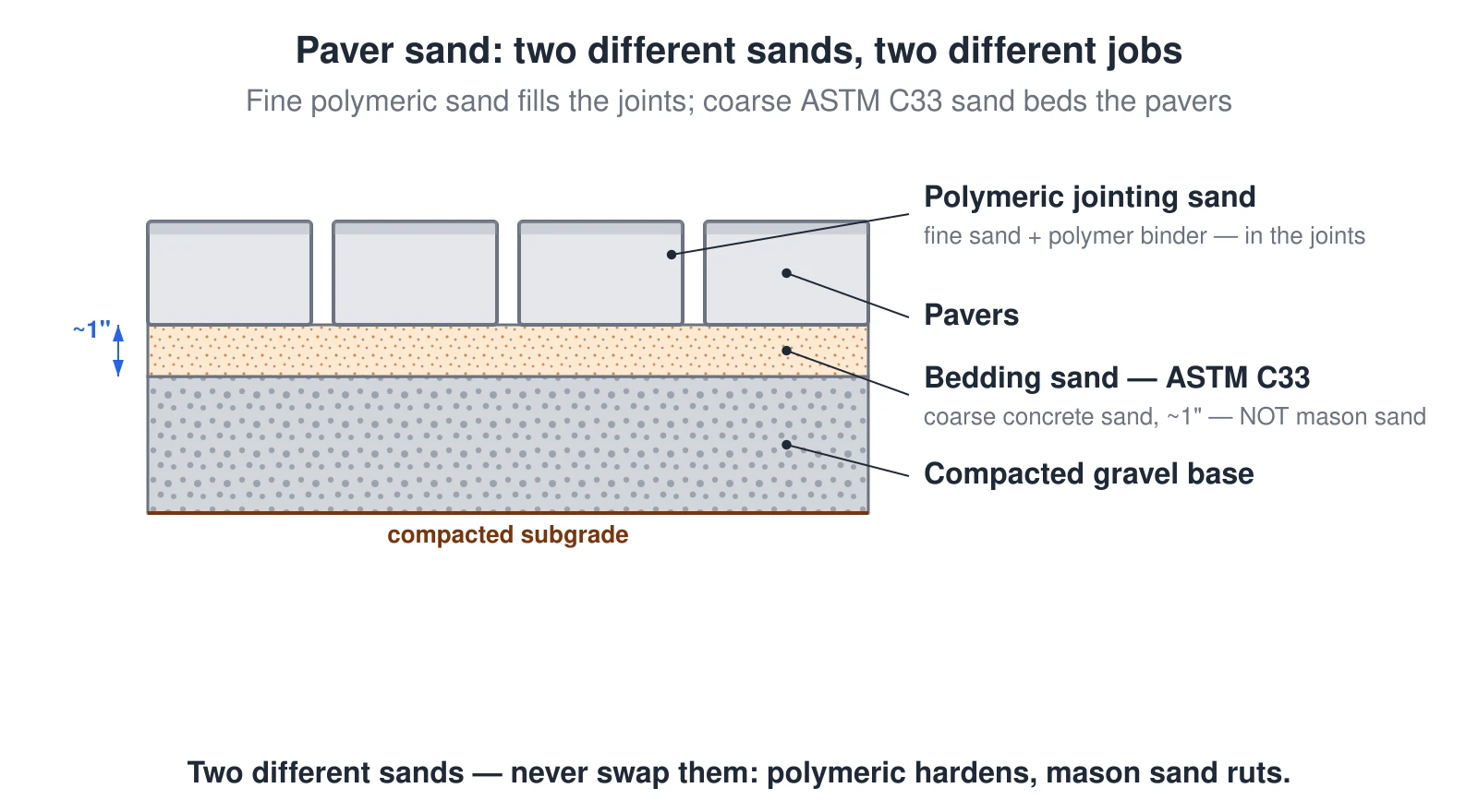 A cross-section of a paver installation showing the two different sands that must never be swapped. Fine polymeric jointing sand (fine sand plus a polymer binder) fills the narrow joints between the pavers on top. Directly under the pavers is a nominal 1-inch bed of coarse ASTM C33 concrete sand — not mason sand, which is too fine and lets the pavers rut. Below the bedding sand is a compacted gravel base over the subgrade. Polymeric sand belongs only in the joints; used as bedding it hardens into a rigid, non-draining slab.