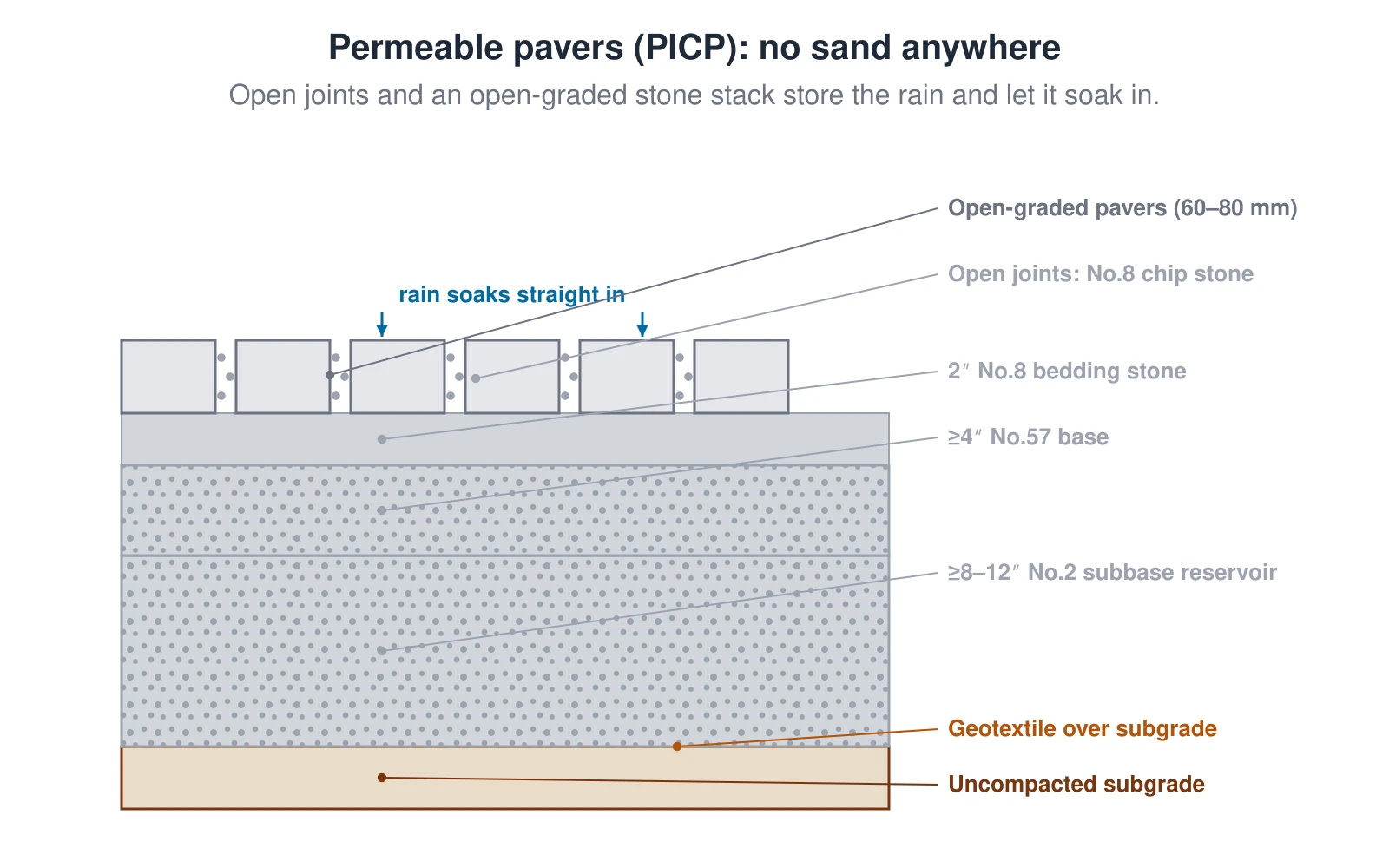 A cross-section of a permeable interlocking concrete pavement (PICP) stack, which has no sand. From the top: open-graded pavers with wide joints filled with No.8 chip stone instead of sand; a 2-inch No.8 bedding-stone layer; a 4-inch-minimum No.57 base; an 8-to-12-inch-minimum No.2 open-graded subbase that acts as a water reservoir; a geotextile over the subgrade; and an uncompacted subgrade that lets water infiltrate. Arrows show rain soaking straight down through the open joints.