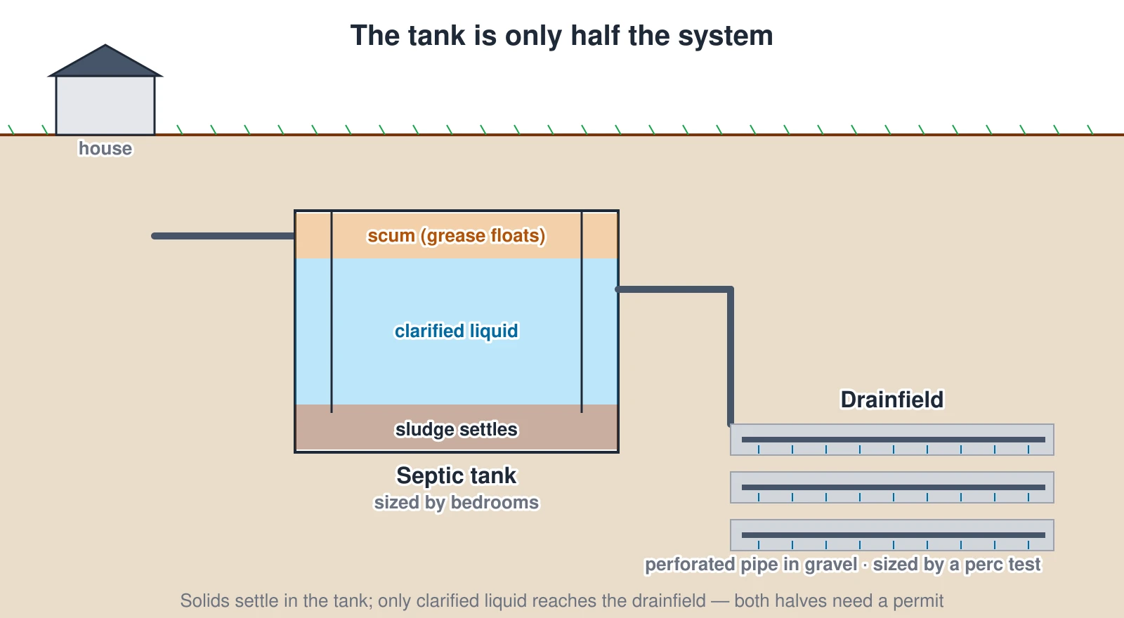 Cross-section of a septic system from house to soil. Waste flows to the septic tank, where solids settle as sludge on the bottom, grease floats as a scum layer on top, and clarified liquid in the middle passes an outlet baffle to the drainfield. In the drainfield, perforated pipe in gravel trenches disperses the effluent into the soil. The tank is sized by bedroom count; the drainfield is sized separately by a percolation test.