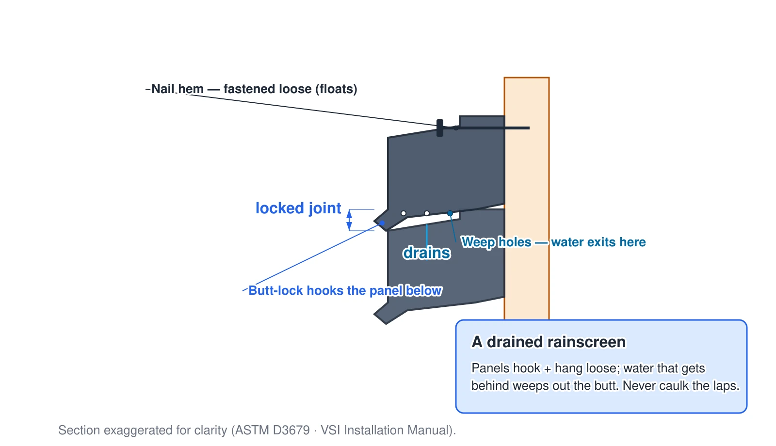 An edge-on section of two vinyl panels at their joint. The upper panel's butt-lock hooks over the return at the top of the lower panel, locking the two together, while the nail hem above is fastened loose so the panel still floats. Small weep holes at the bottom butt let any water that gets behind the siding drain back out. Vinyl is a drained rainscreen, not a sealed skin, which is why the overlapping laps and the corner and channel joints are never caulked.